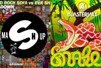 /album/galleria-fotografica/collage-snake-jpg/